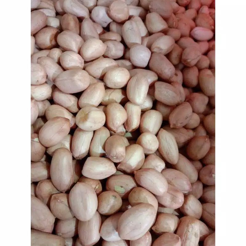 

Kacang Tanah Merah Mentah Baru Lokal Asli Segar 500grm Murah