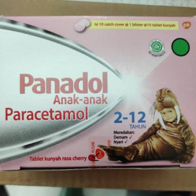 Panadol anak - anak