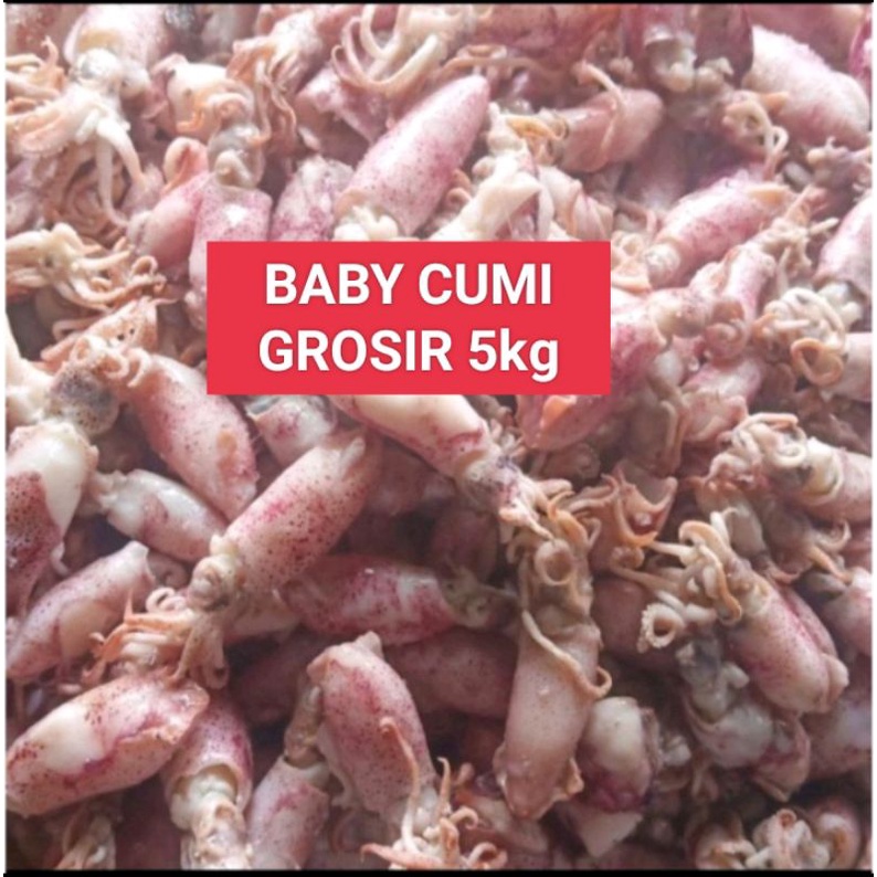 

Baby cumi grosir 5kg