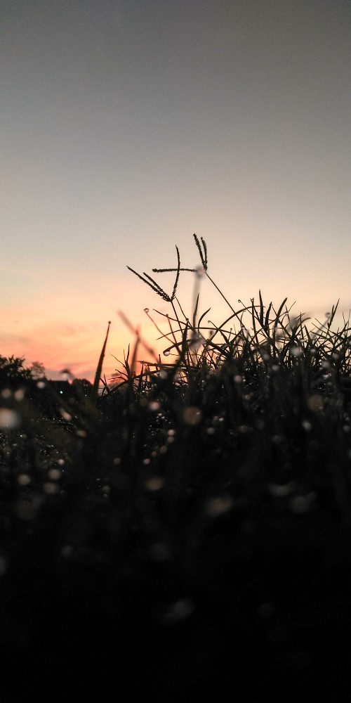 Apta Batik _ Couple Batik Pinguin Selendang Payet Anjella Hauw