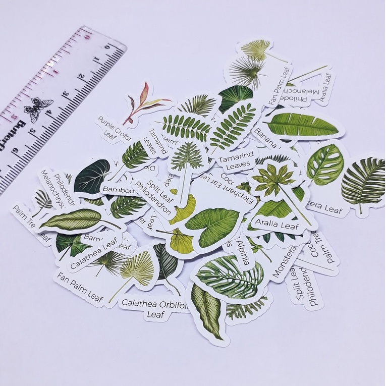 

sticker stiker leaf daun / nama nama daun scrapbook DIY planner diary