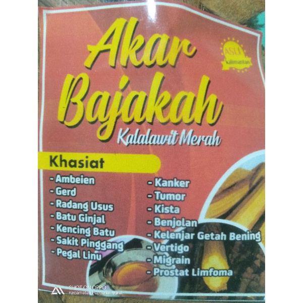 

Akar Bajakah Kalalawit Merah