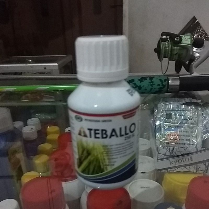 Insektisida pengendali hama wereng TEBALLO