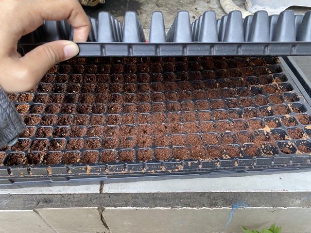 Paket 2pcs Nampan Alas Tray + 2pcs Tray Semai 200 Lubang