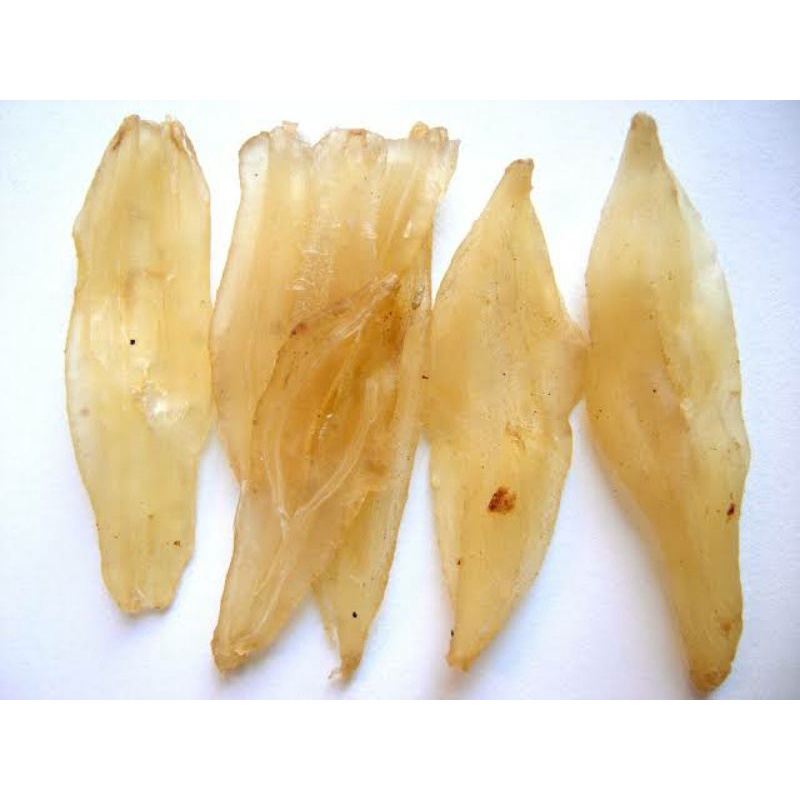 

50gr 天冬 天门冬 Tian Men Dong Tian Dong Radix Asparagi Asparagus Tuber Asparagus Cochinchens Asparagus Root