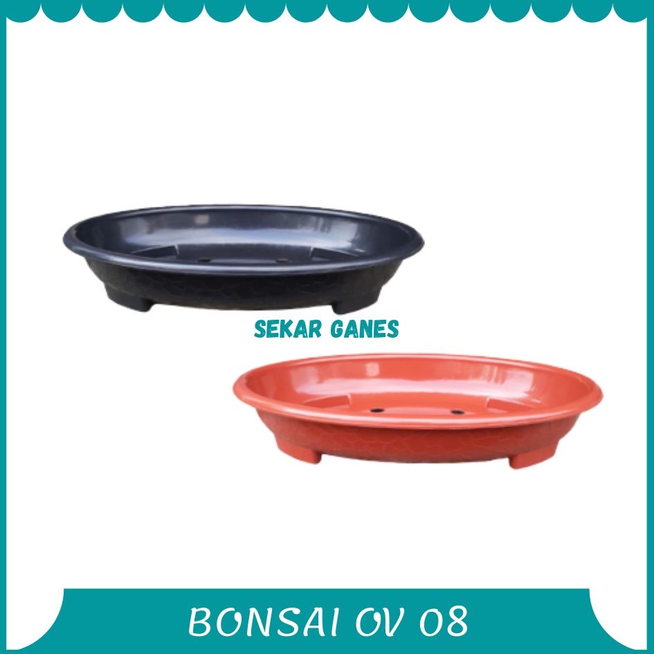 Pot Bonsai Oval Ov 08 Putih Hitam Merah Bata Coklat Pot Bunga Plastik Bonsai Motif Batu Alam Ceper Pendek Pot Bonsai Plastik Bonsai Mame Kelapa Besar Mini