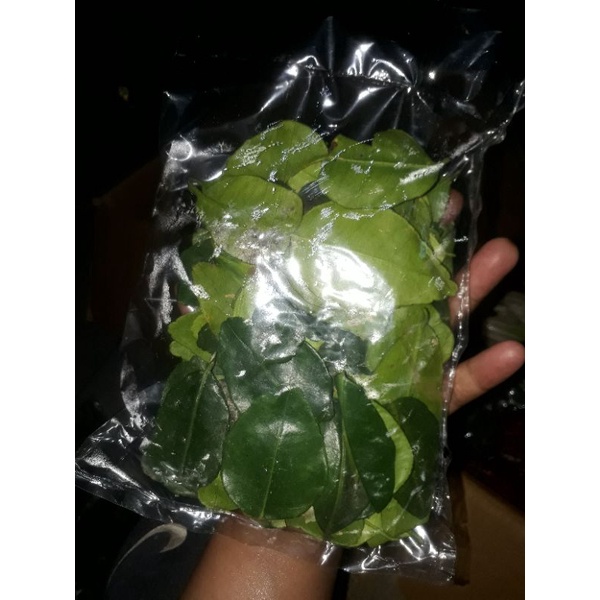 

daun jeruk organik