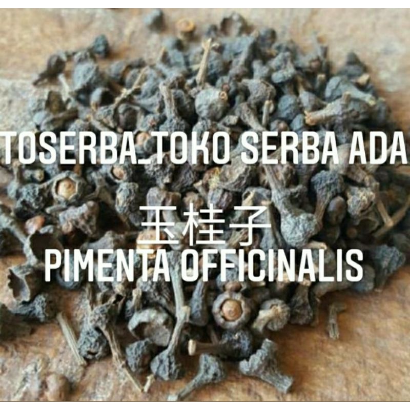 

100gr Herbal Yu Gui Zi 玉桂子 Pimenta Officinalis Cinnamomum Cassia Seed Cinnamomum Cassia Presl Seed Cinnamomum Seed Premium Grade