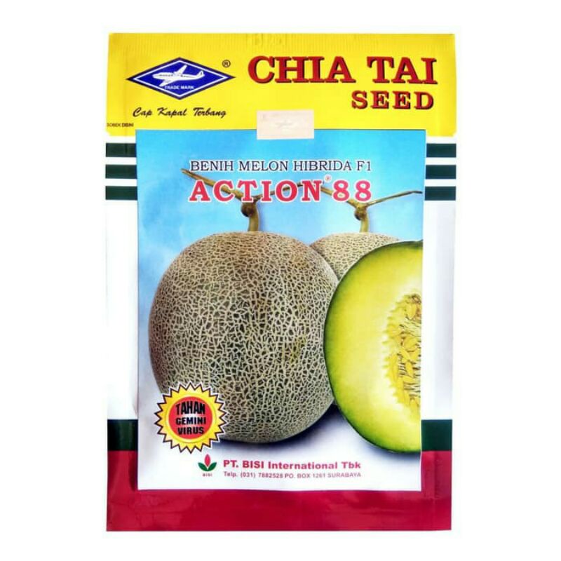 Bibit benih Melon F1 Action 88 isi 550 biji