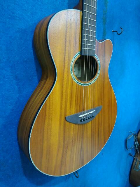 Gitar Akustik Merk Camwood Original Tipe IWC-38 NSK Solid Slim Senar String Trusrod Murah Jakarta