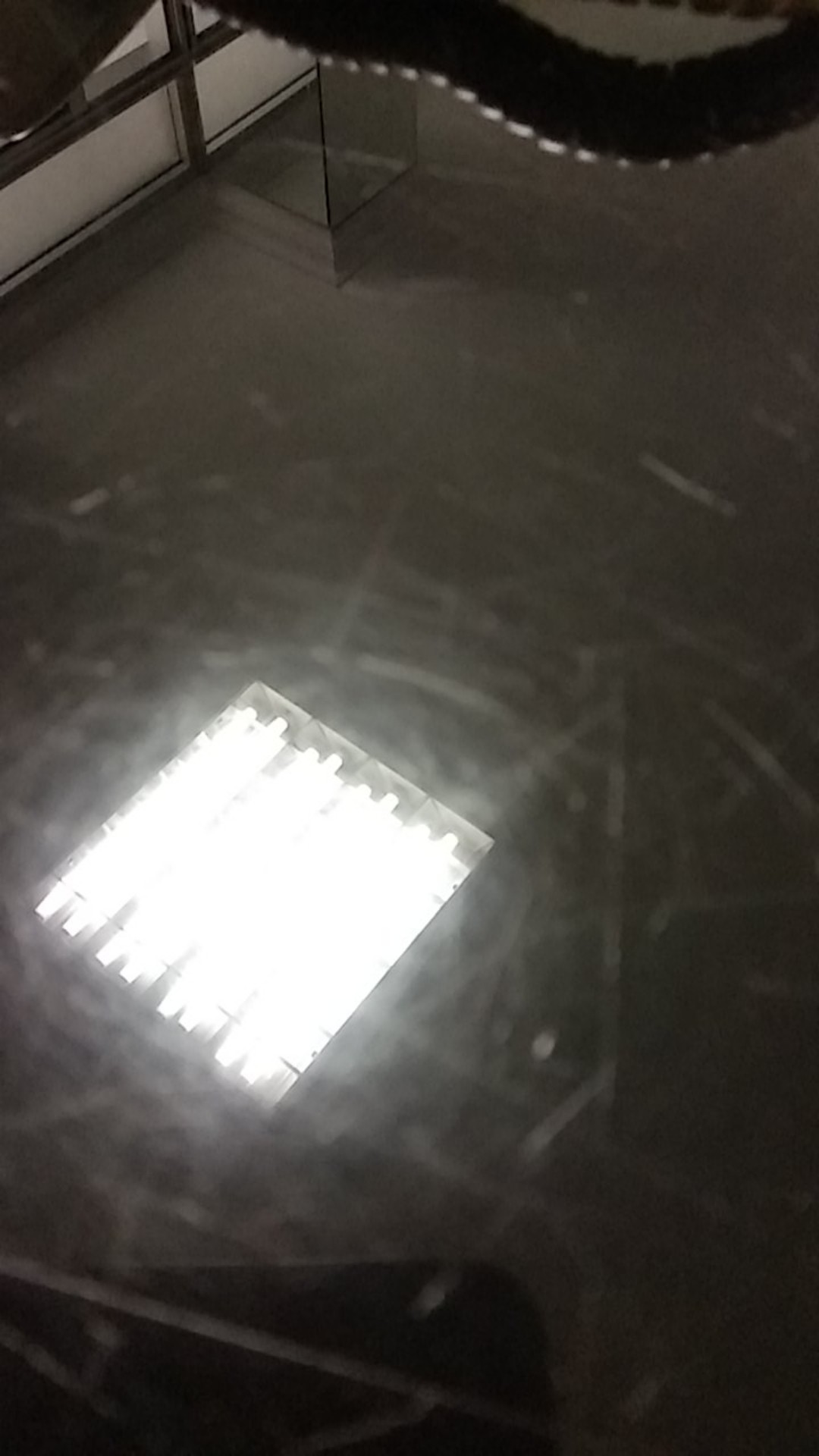 Kotak Makan Bento Lunch Box Set 3 Tingkat Transparant Lid Tempat Makan Bpa Free 900m