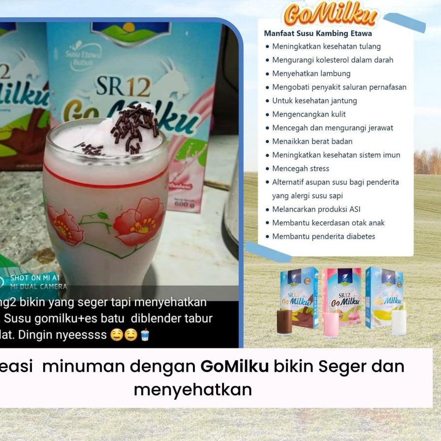 

Hemat Terkinisusu bubuk kambing etawa 100% asli tanpa campuran penggemuk badan gomilku sr12