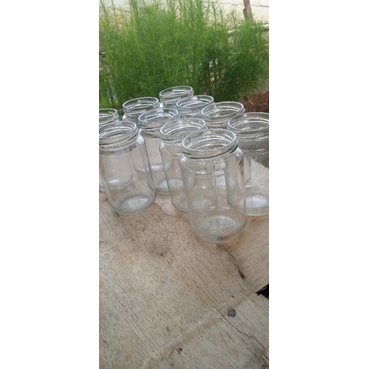 toples kaca soliter kaca ikan cupang