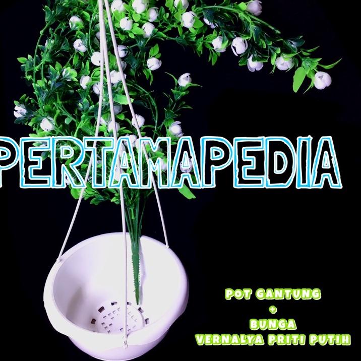 ☎ Paket Bunga Merambat Juntai Vernalya PRITI + Pot Gantung/ Bunga Plastik/ Daun Rambat Plastik/ Daun