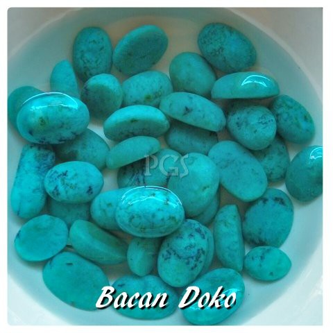 BACAN BLUISH GREEN TERMURAH