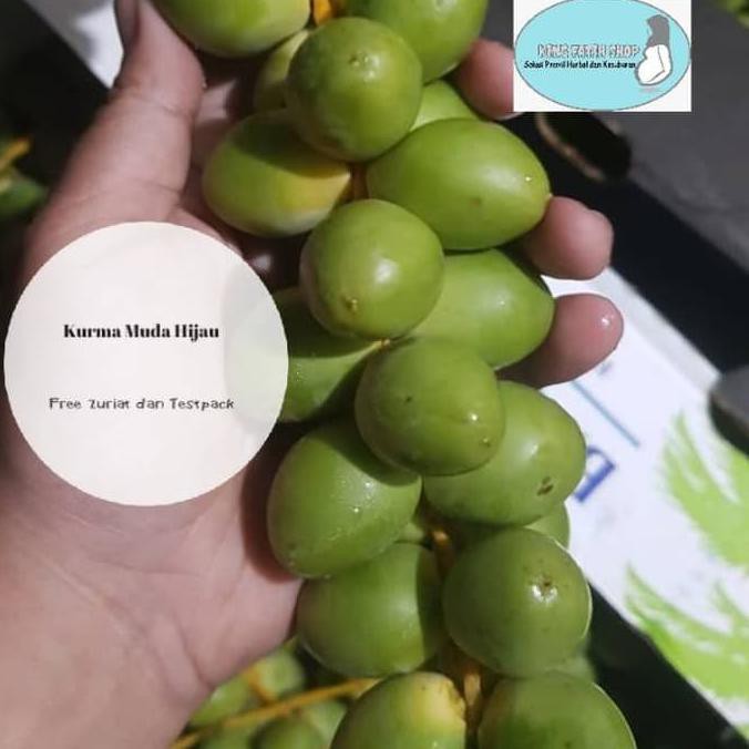 

Produk Terbaik Kurma Muda Promil Hijau Fresh Mengkel Free Buah Zuriat Dan Testpack.