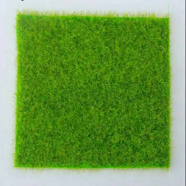 Karpet rumput/rumput Sinten
