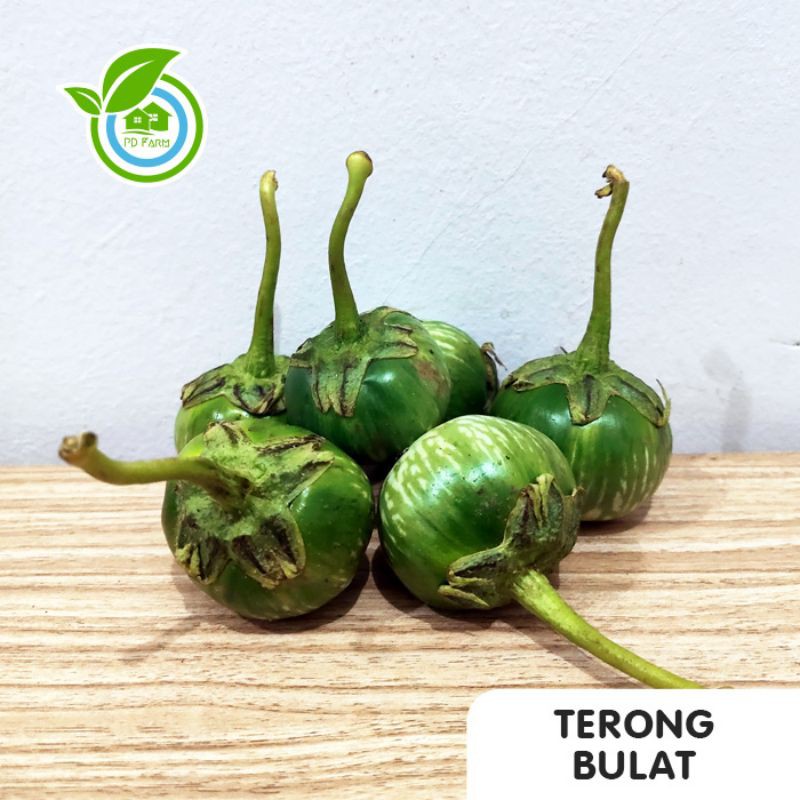 

Terong Bulat (250gram)