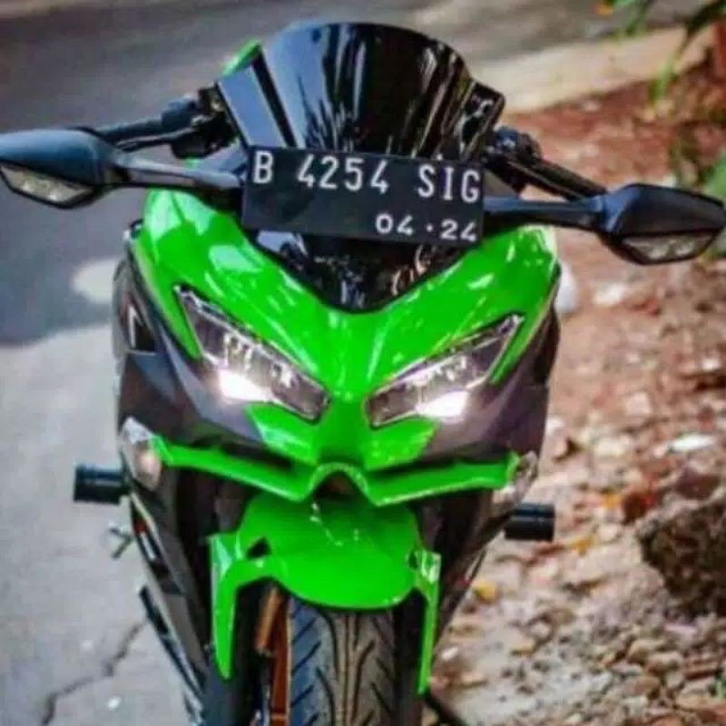 Winglet Ninja 250 2018 Model Ninja 300 Bahan ABS Premium