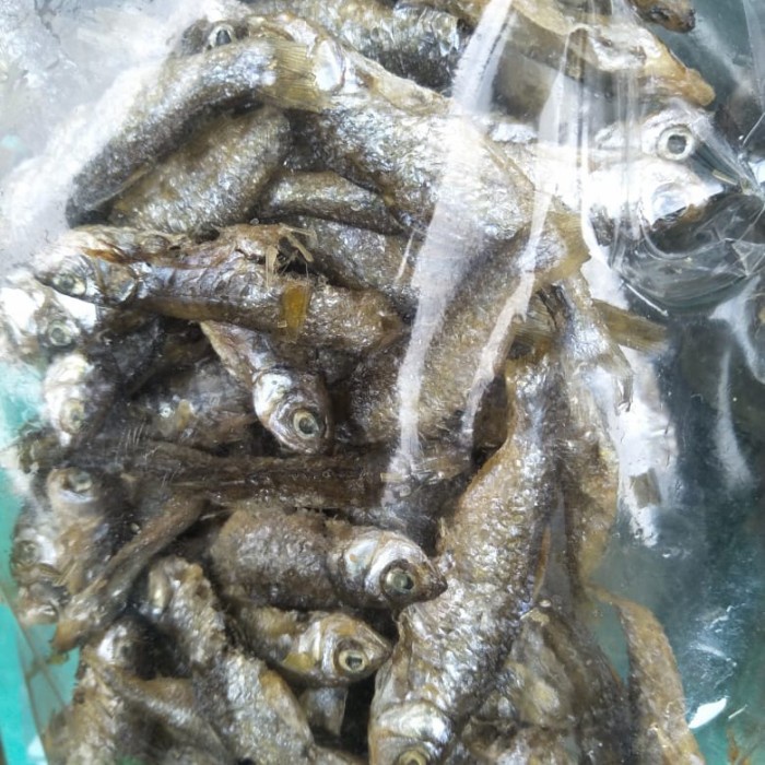 

Ikan Bilih/ Bilis ASLI Danau Singkarak/Ikan Bilih Padang