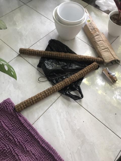 Turus Penyangga Rambatan Tanaman 50cm