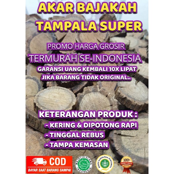 

PROMO HARGA GROSIR , AKAR KAYU BAJAKAH TAMPALA SUPER ASLI KALIMANTAN, TAMPA KEMASAN