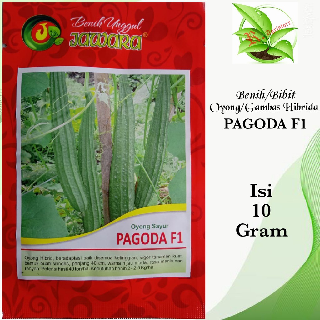Bibit Oyong PAGODA F1 Isi 10 Gram Benih Oyong Benih Gambas Bibit Gambas Bibit Sayuran