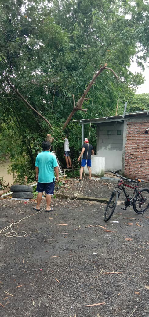 Hanger Under Wear (12pcs)