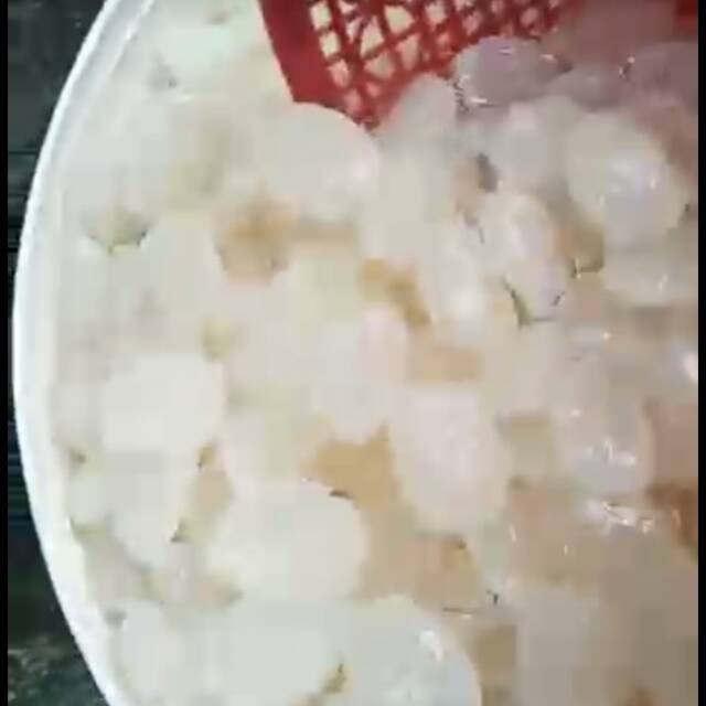 

Kolang kaling