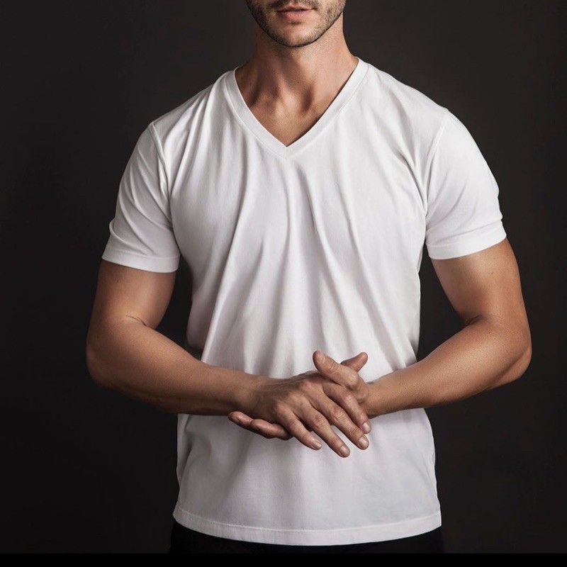 Mr W by Wacoal isi 3pcs V Neck Shirt / Kaos Kerah V pria Laki