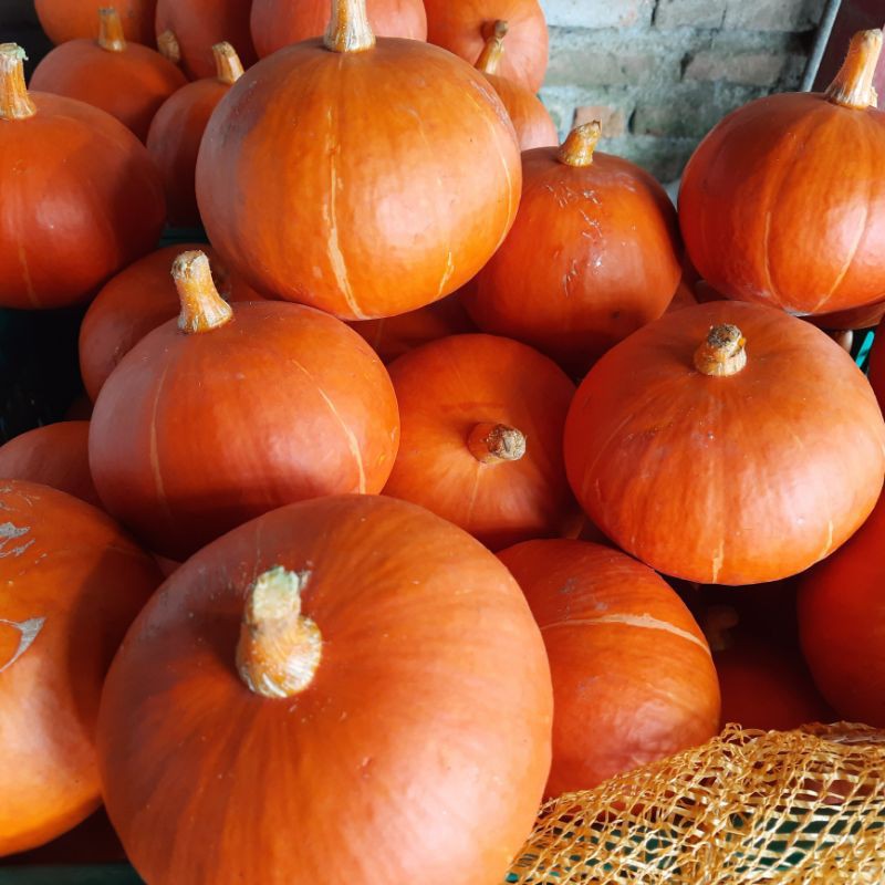 

Kabocha organik 1kg