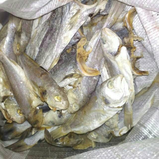 

Ikan asin gulamak kepala batu