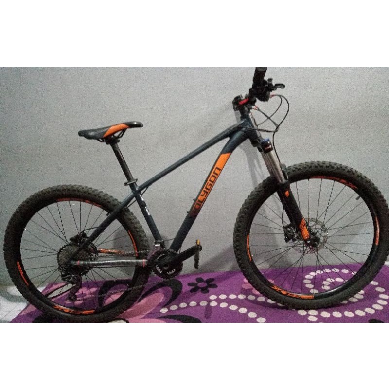 Polygon xtrada 6 2019