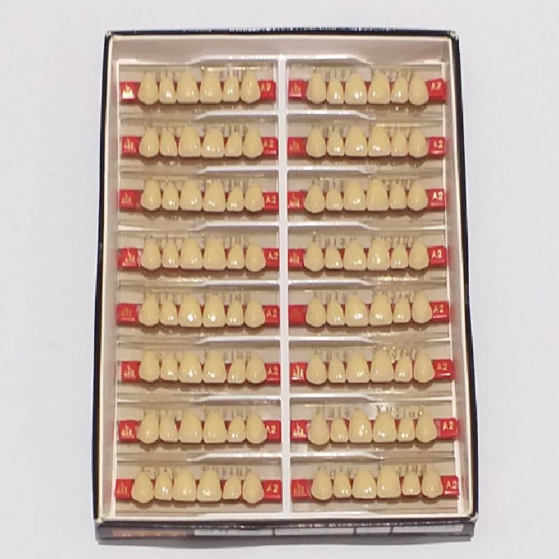 1 Kotak Gigi Palsu Akrilik Acrylic Caiyu Yuying DEPAN ATAS & BAWAH (Anterior) atau BELAKANG ATAS & B