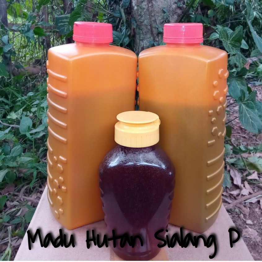 

Madu Hutan Sialang Premium 1kg