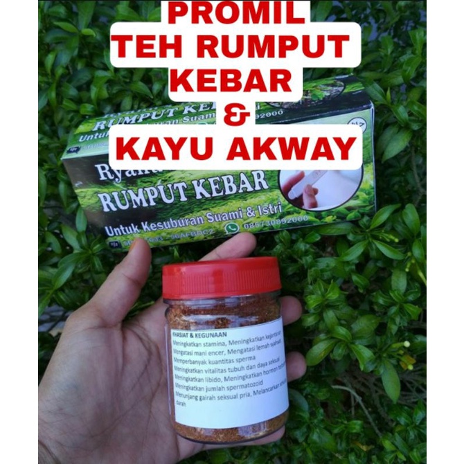 

Teh Herbal Rumput Kebar dan Kayu Akway (Promil)