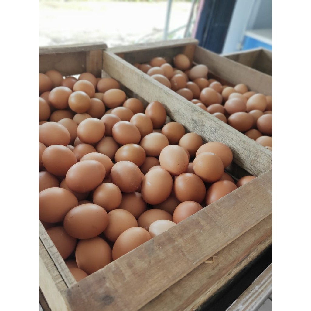 

TELUR AYAM SUPER FRESH ISI 19-20 BUTIR / KG