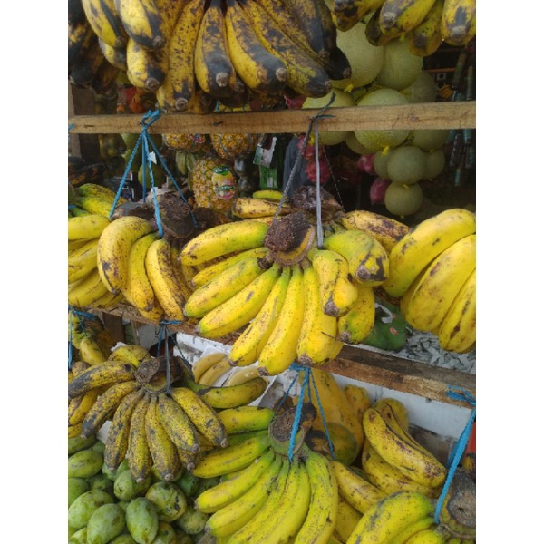 

PISANG MEDAN
