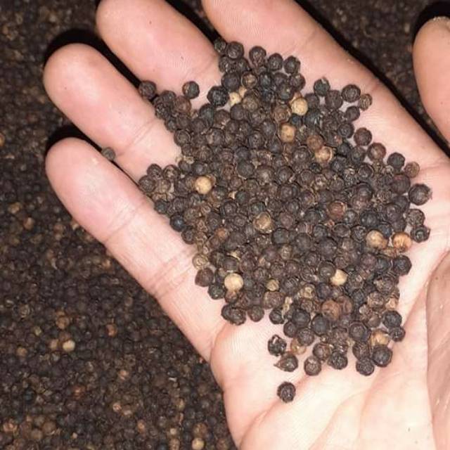 

Lada Hitam Bangka 1 kg