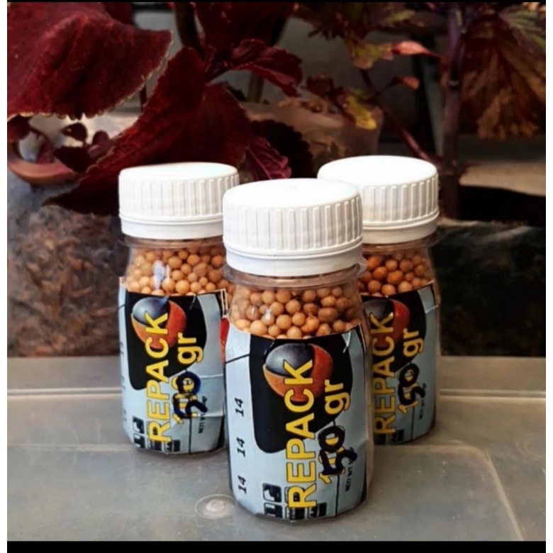 Pupuk osmocote 14.14.14 seimbang repack 50 gr, pupuk slow release