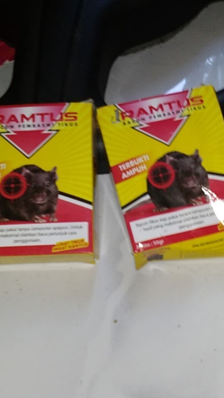 Racun Tikus Ramtus Asli Alami Mati Kering Tidak Bau Pembasmi Pengusir Tikus Super Paling Ampuh 2pack
