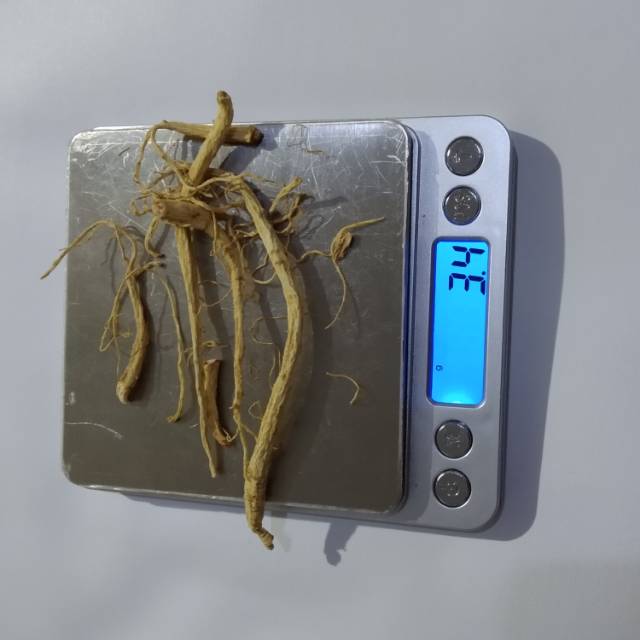 

Akar ginseng - gingseng / somciu somchiu import 3 gr