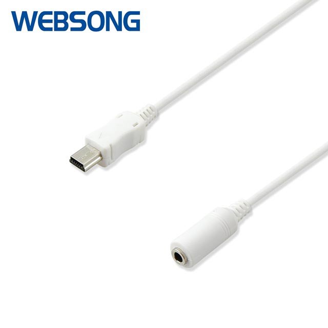 Kabel 5P mini USB M to Audio F Female Websong