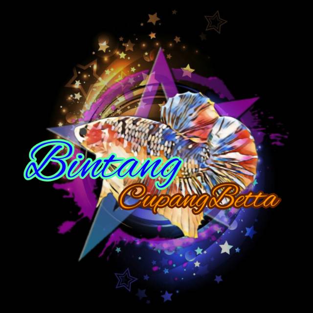 bintangcupangbetta