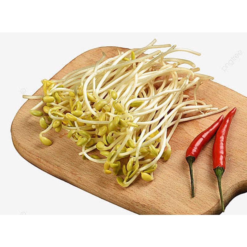 

Taoge kedelai/Kecambah kedelai/Cambah Dele per 100gr *BISA INSTAN DELIVERY*