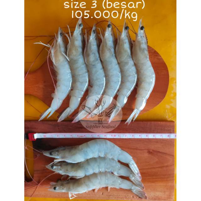 

Udang Jerbung Besar sz 40-50 (0,5kg)