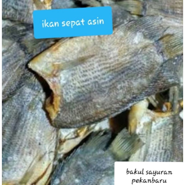 

Ikan Asin Sepat 100 gram