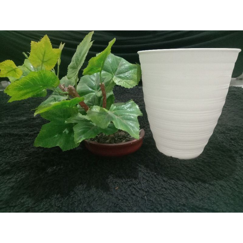 Pot tawon tirus 18 cm Putih