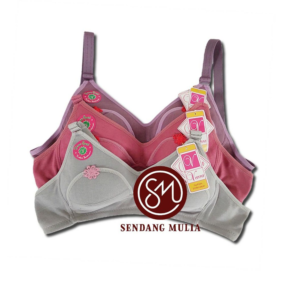 Bra BH MENYUSUI Tanpa Busa Tanpa Kawat / Bra Maternity / Nursing Bra