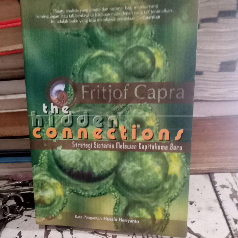 the hidden connections Fritjof Capra